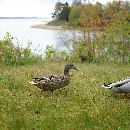 Schlei-panorama Kosel