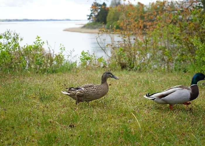 Schlei-panorama Kosel
